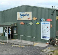 Stanley Seaquarium - Redcliffe Tourism
