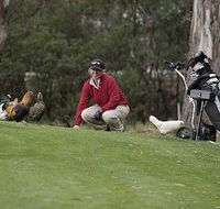 Tasmania Golf Club - The - Redcliffe Tourism