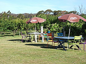 Cerise Brook Orchard & Family Golf - Redcliffe Tourism 0