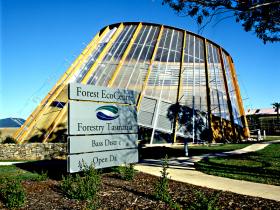 Tonganah TAS Redcliffe Tourism
