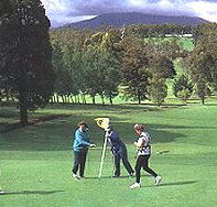 Deloraine Golf Course - Redcliffe Tourism