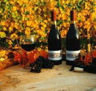 Craigow Vineyard - Redcliffe Tourism