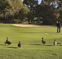 Royal Hobart Golf Club - Redcliffe Tourism