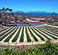 Kate's Berry Farm - Redcliffe Tourism