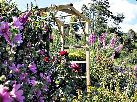 Thelma Retreat Garden And Teahouse - Redcliffe Tourism 0