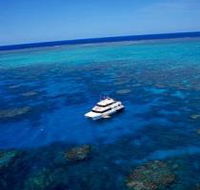 Norman Reef Dive Site - Redcliffe Tourism