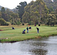 Penguin Golf Course - Redcliffe Tourism