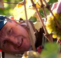 Puddleduck Vineyard - Redcliffe Tourism