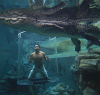 Crocosaurus Cove - Redcliffe Tourism