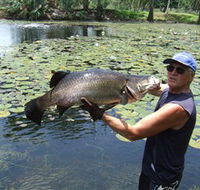 Barra Feeding - Redcliffe Tourism