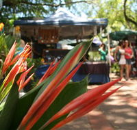 Nightcliff Markets - Redcliffe Tourism