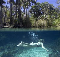 Bitter Springs - Redcliffe Tourism