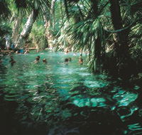 Mataranka Thermal Pool - Redcliffe Tourism