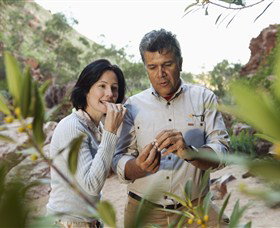 Simpsons Gap - Redcliffe Tourism 0