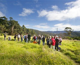 Worongary QLD Redcliffe Tourism
