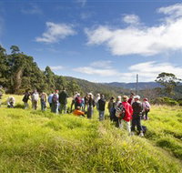 Apple Tree Park - Redcliffe Tourism