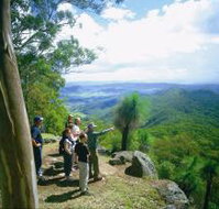 Gold Coast Hinterland Great Walk - Redcliffe Tourism