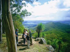 Gold Coast Hinterland Great Walk - Redcliffe Tourism 0