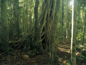 Beechmont QLD Redcliffe Tourism