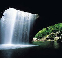 Natural Bridge Springbrook National Park - Redcliffe Tourism