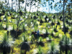 Bicentennial National Trail - Section 5 - Redcliffe Tourism 0