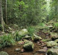 Amamoor State Forest - Redcliffe Tourism