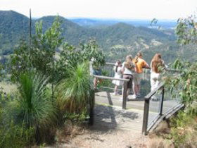 Mapleton Forest Reserve - Redcliffe Tourism 0