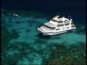 Fish Bowl Dive Site - Redcliffe Tourism 0