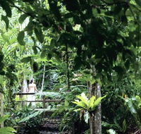 Flecker Botanic Gardens - Redcliffe Tourism