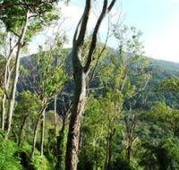Smiths Track Barron Gorge National Park - Redcliffe Tourism