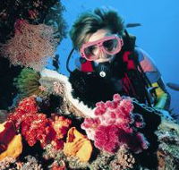 Osprey Reef - Redcliffe Tourism