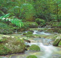 Mossman Gorge Daintree National Park - Redcliffe Tourism