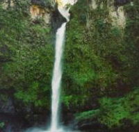 Nandroya Falls Circuit Track Wooroonooran National Park - Redcliffe Tourism