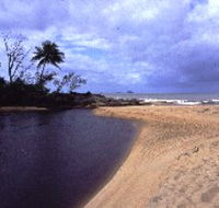 Russell River National Park - Redcliffe Tourism