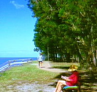 Melaleuca Track - Redcliffe Tourism