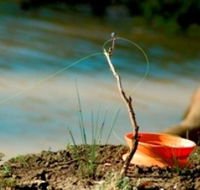 Charleville - Mangalore Warrego River Fishing Spot - Redcliffe Tourism