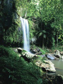 Curtis Falls, Joalah Section - Redcliffe Tourism 0