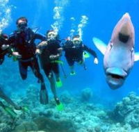 Gotham City Dive Site - Redcliffe Tourism