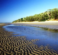 Burrum Coast National Park - Redcliffe Tourism