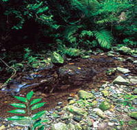 Wompoo Walk - Redcliffe Tourism