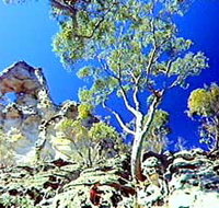 Mount Moffatt Section - Carnarvon National Park - Redcliffe Tourism