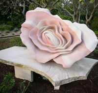 Brisbane Botanic Gardens Mount Coot-tha - Redcliffe Tourism