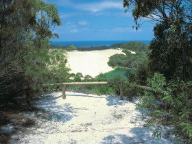 Lake Wabby Track - Redcliffe Tourism 0