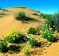 Simpson Desert National Park - Redcliffe Tourism