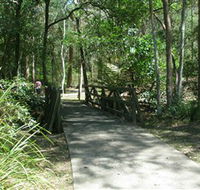 Cornubia Forest Park - Redcliffe Tourism