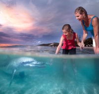 Tangalooma Island Resort - Redcliffe Tourism