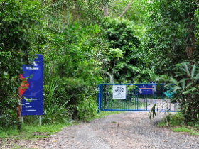 The Bat Hospital Visitor Centre - Redcliffe Tourism 0
