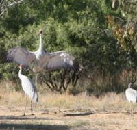 Bulloo River Walk - Redcliffe Tourism