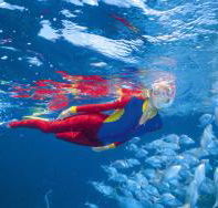 Outer Rocks Dive Site - Redcliffe Tourism