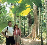 Licuala State Forest - Redcliffe Tourism